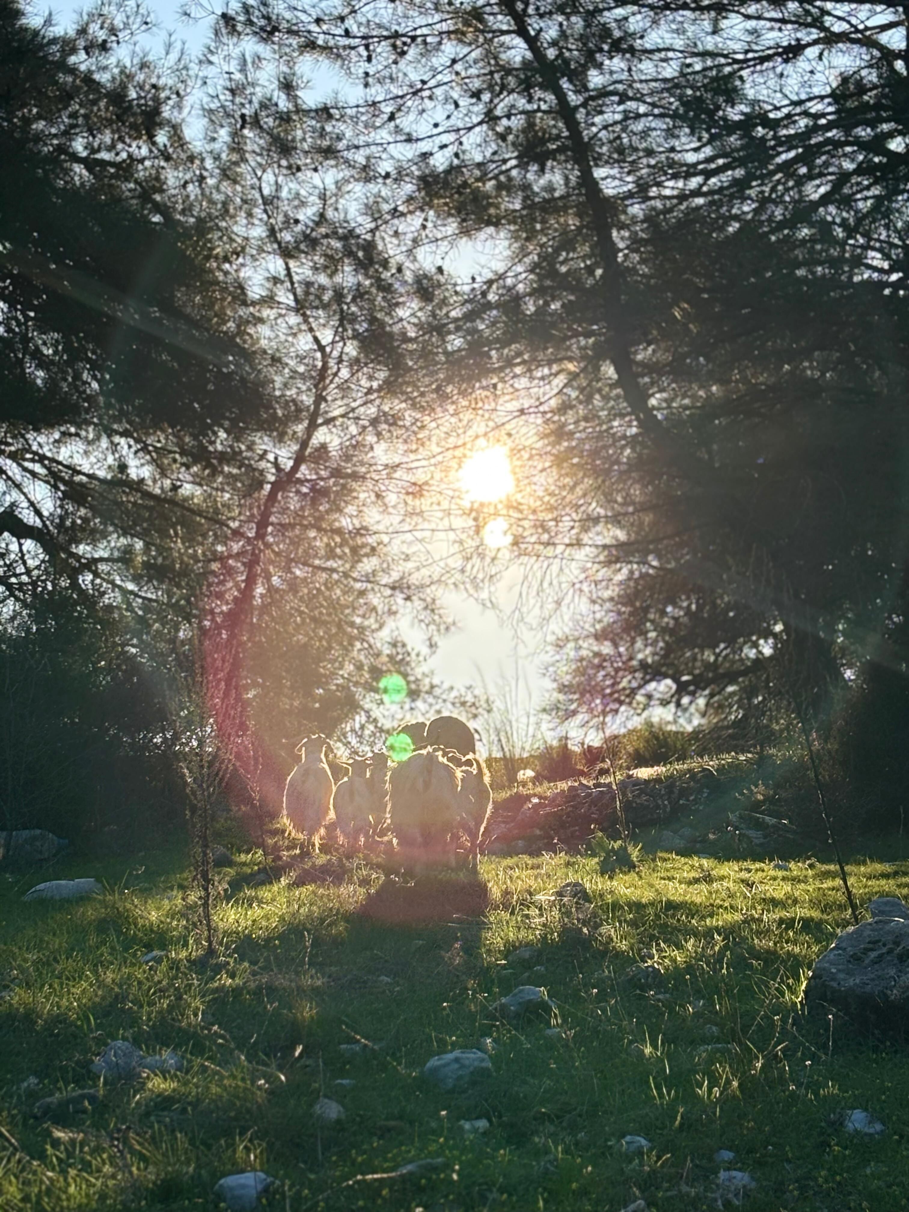 Kuraklık Ve Plastik Kirliliği Doğayı Ve Gıda Güvenliğini Tehdit Ediyor (2)