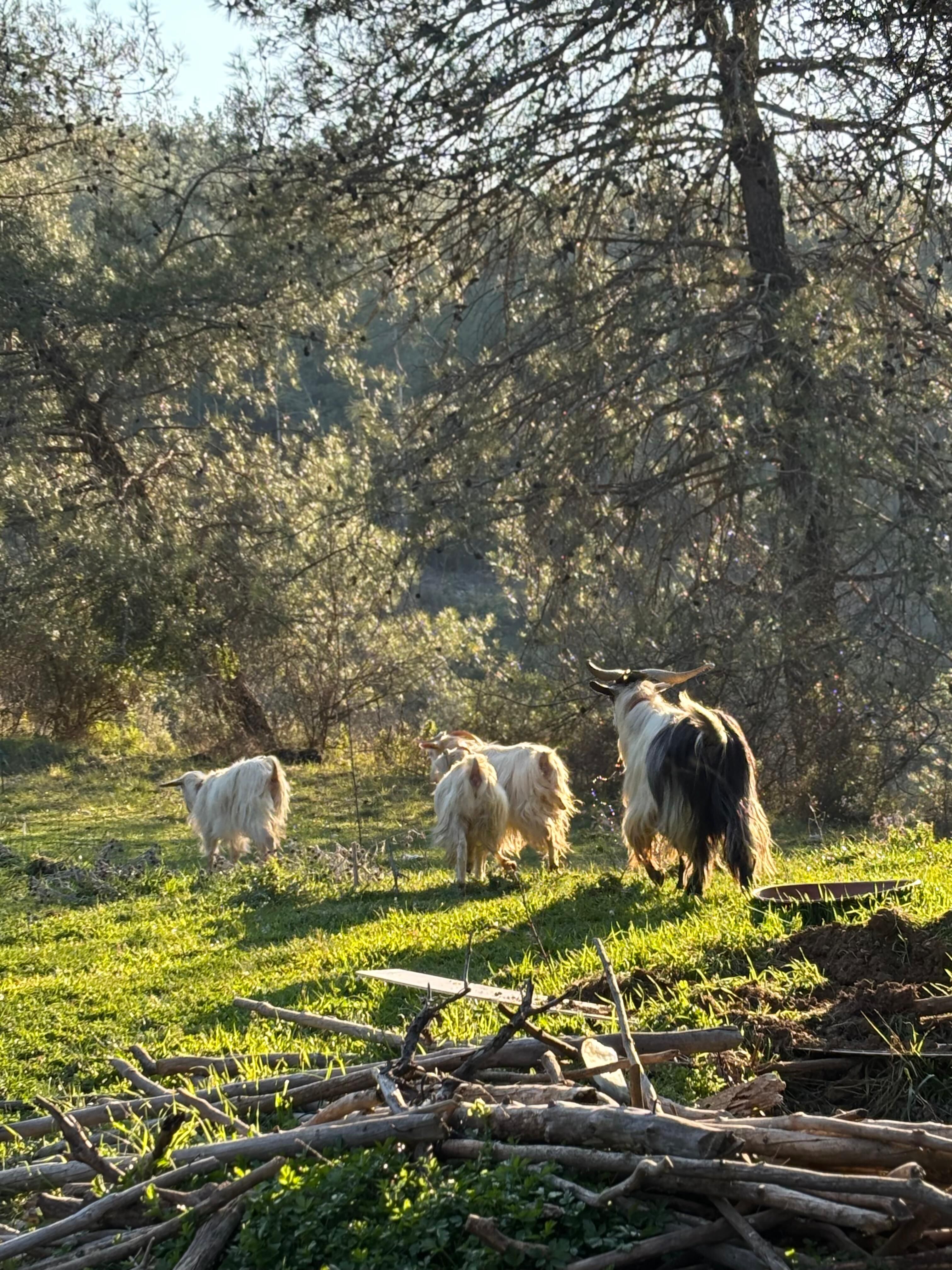 Kuraklık Ve Plastik Kirliliği Doğayı Ve Gıda Güvenliğini Tehdit Ediyor (3)