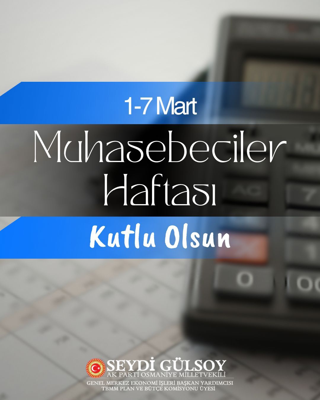 Seydi Gülsoy Muhasebe