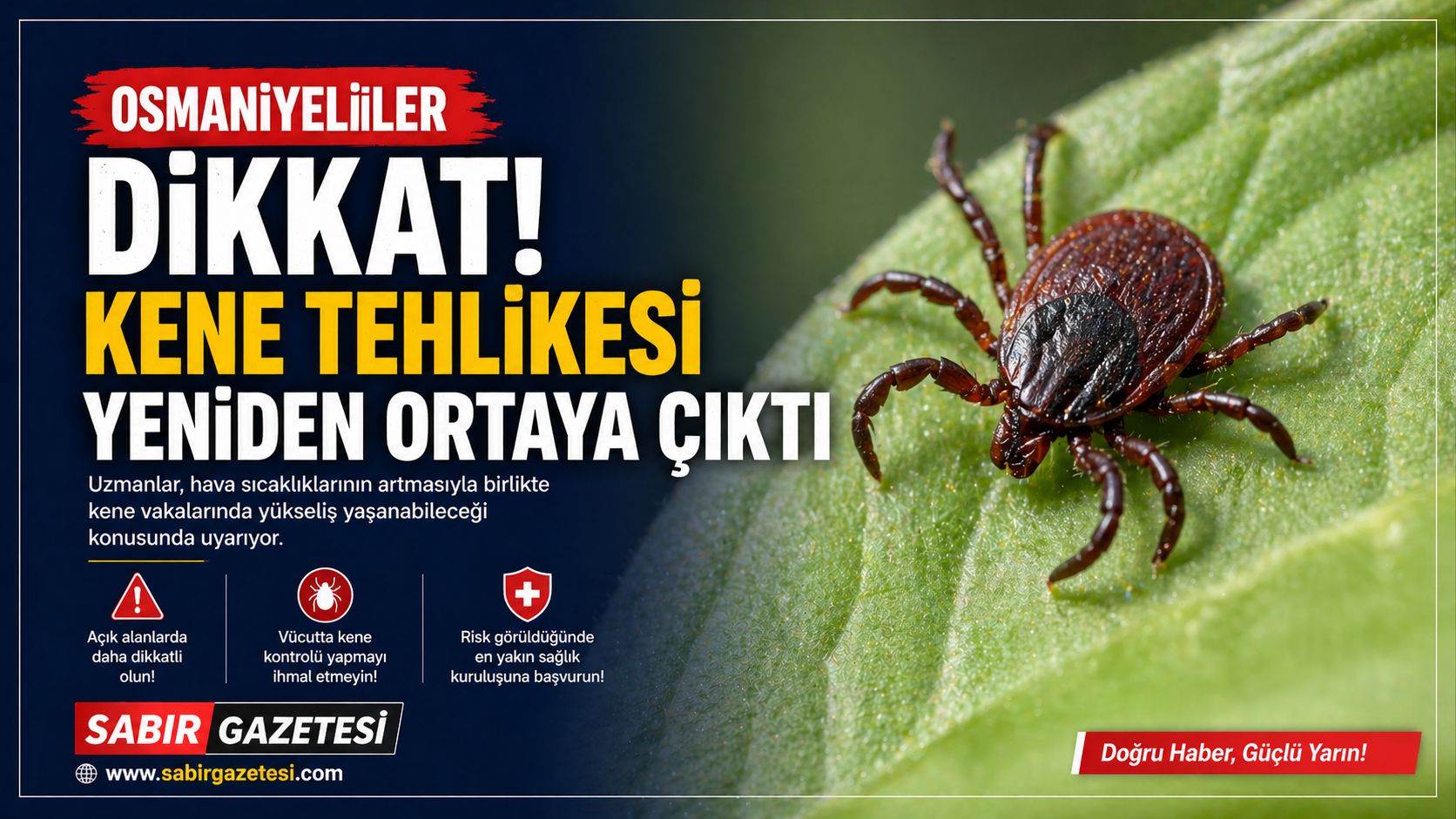 Osmaniyeliler Dikkat! Kene Tehlikesi Yeniden Ortaya Çıktı