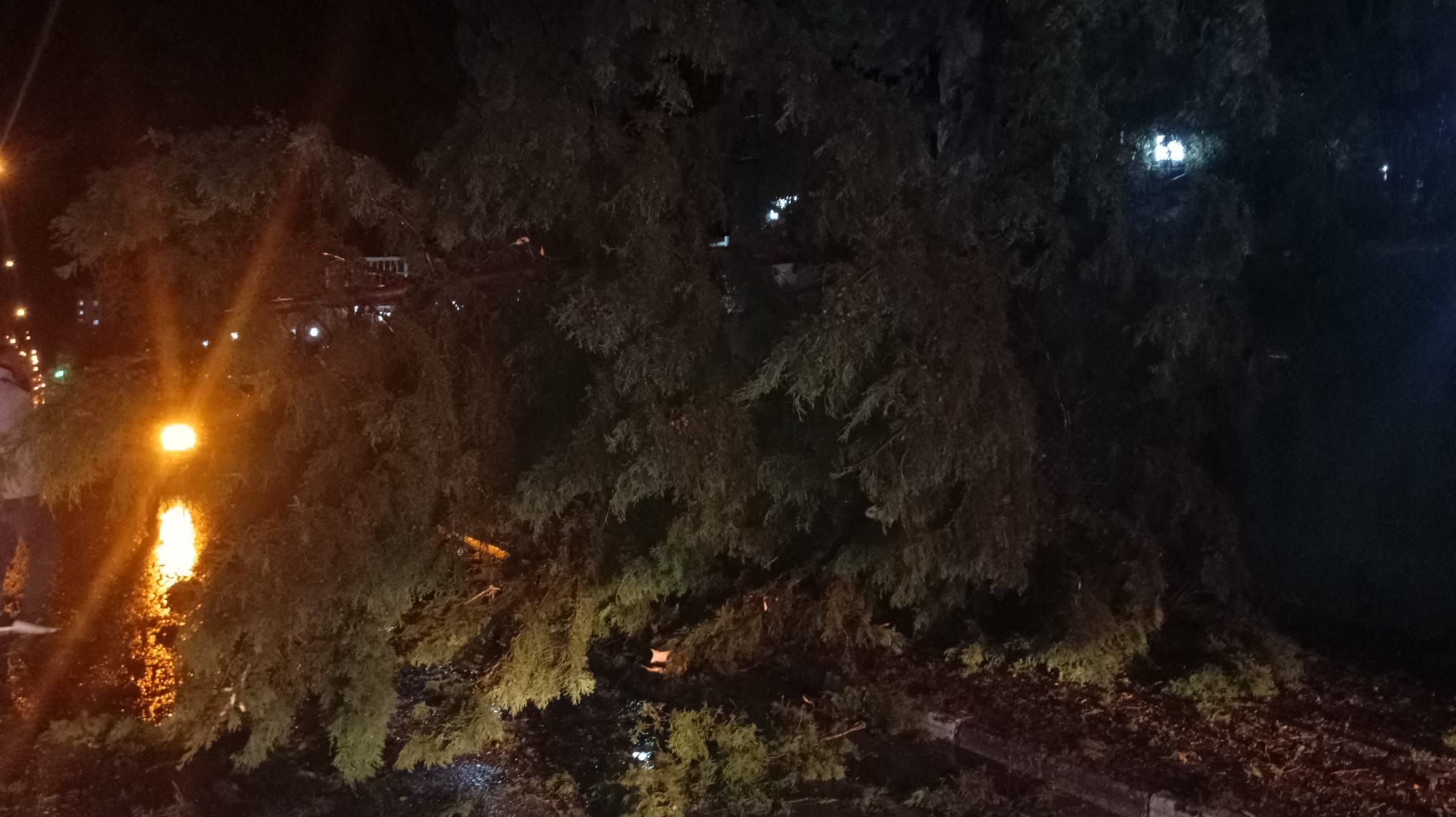 Düziçi’nde Fırtına Kabusu Tabelalar Uçtu, Ağaçlar Yolları Kapattı (1)