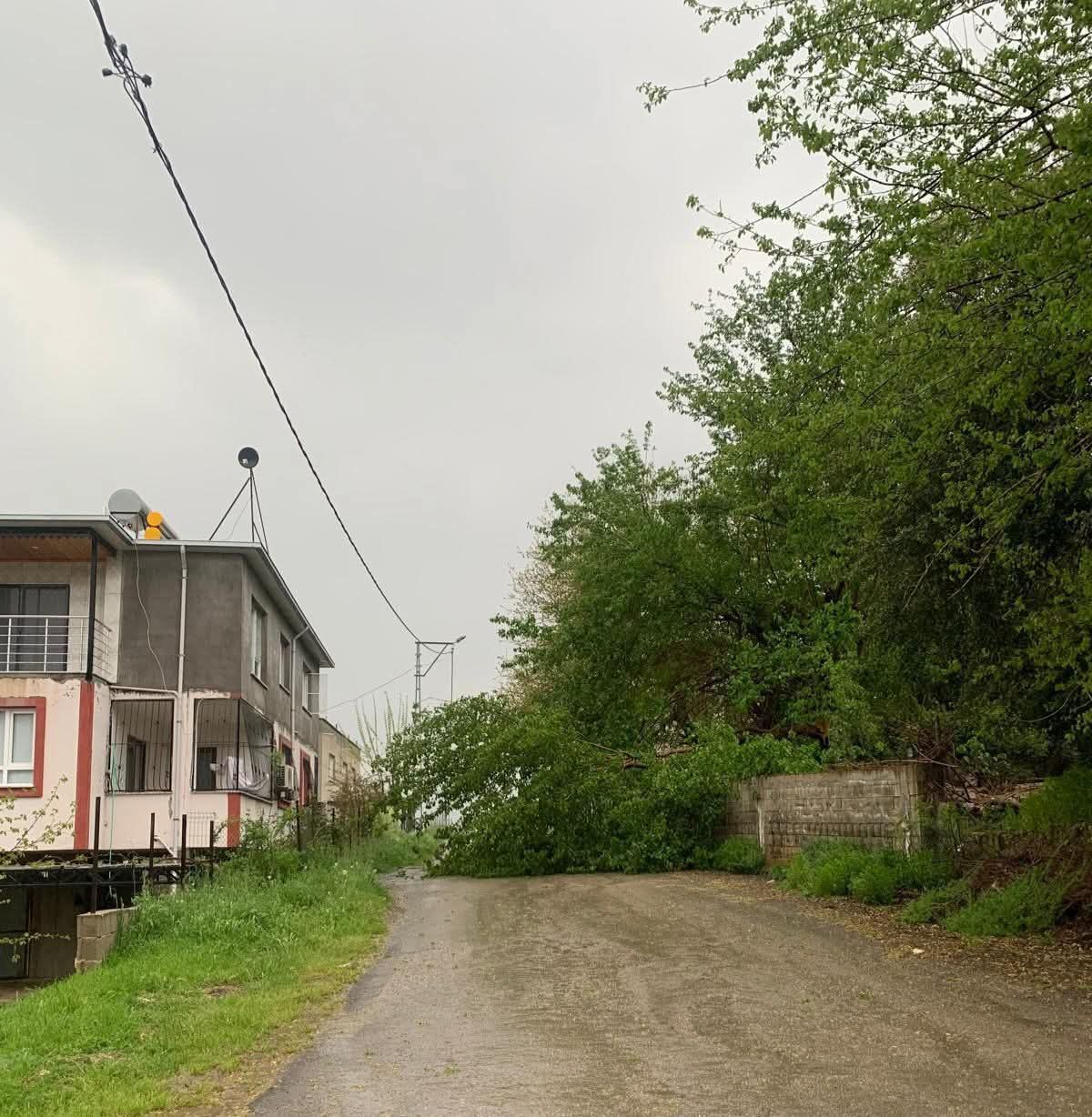 Düziçi’nde Fırtına Kabusu Tabelalar Uçtu, Ağaçlar Yolları Kapattı (2)