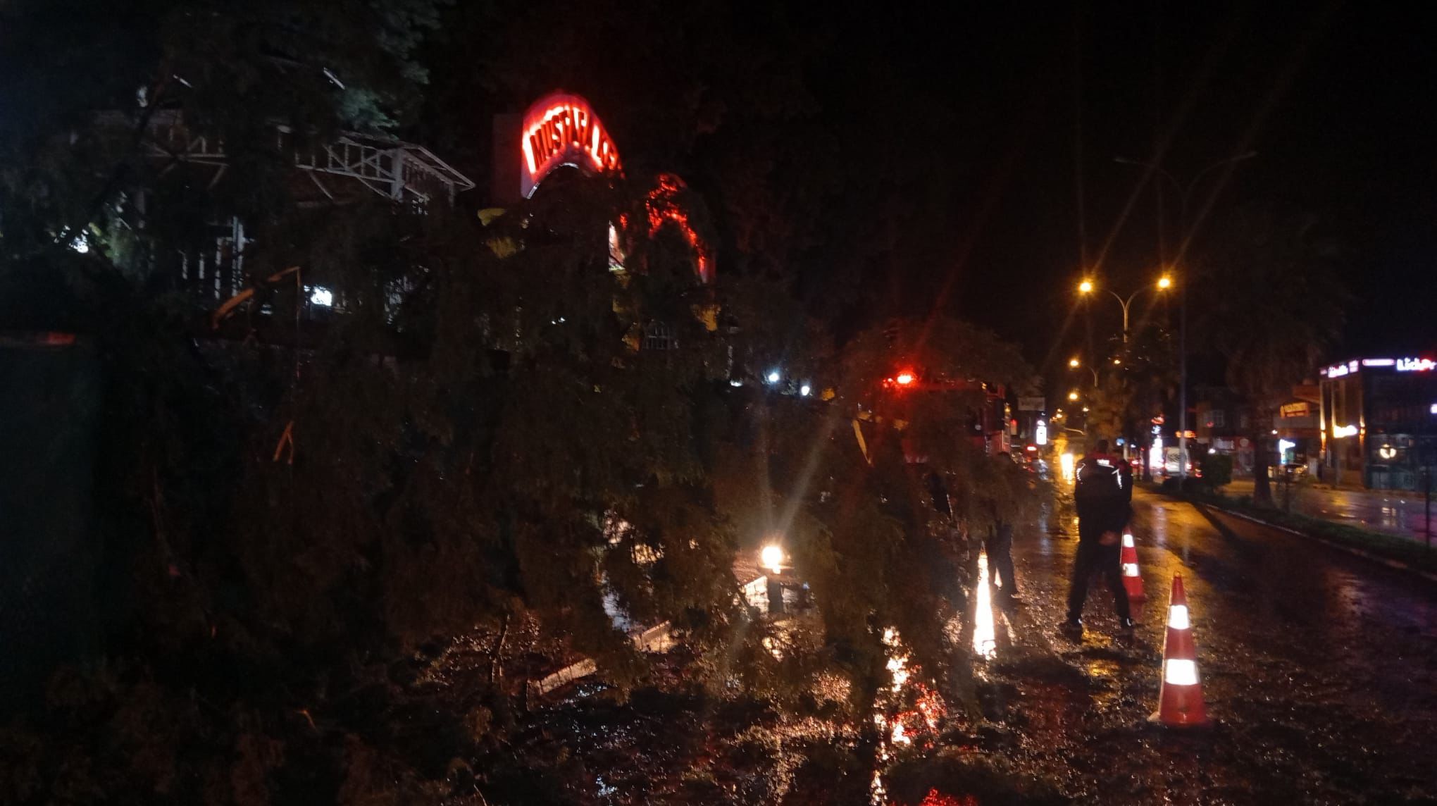 Düziçi’nde Fırtına Kabusu Tabelalar Uçtu, Ağaçlar Yolları Kapattı (4)