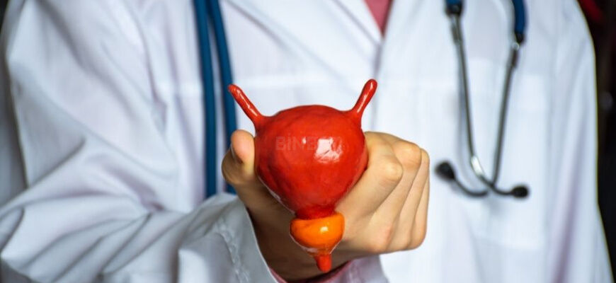 Fit 870X400 95 1711545817301 Prostat Sagligi