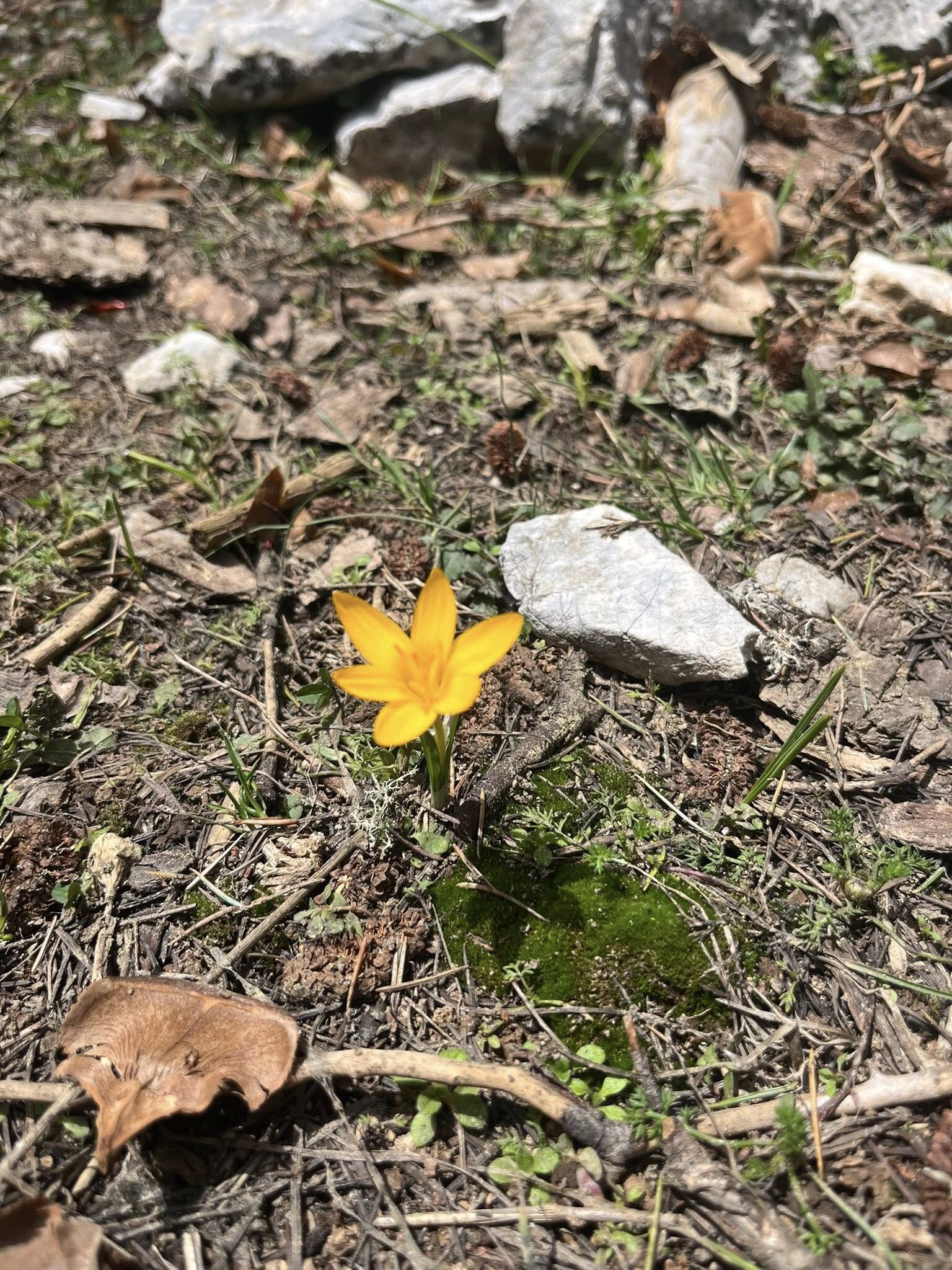 Kadirli Ağcadağ’da Bahar Büyülüyor (4)