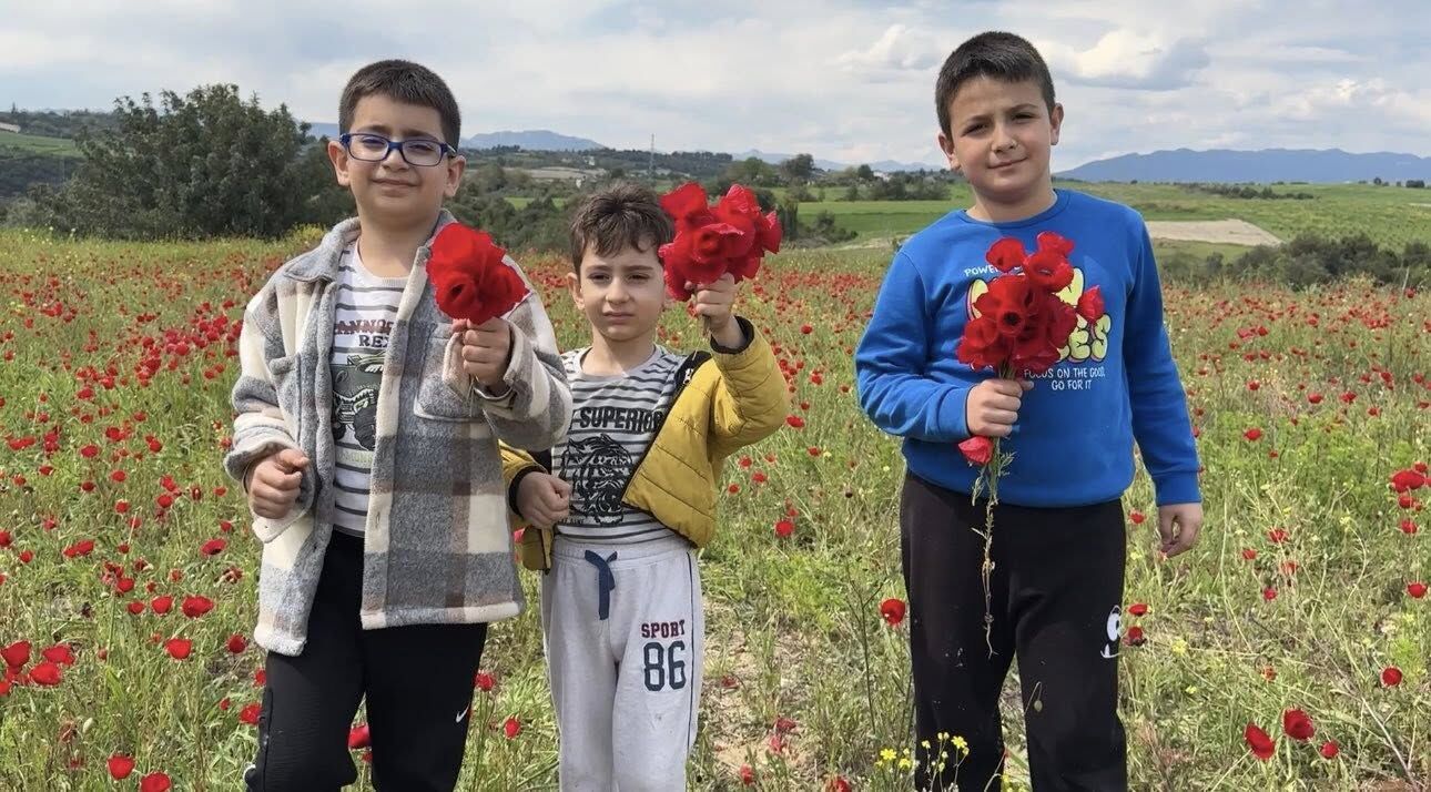 Kadirli’de Gelincikler Tarlaları Kırmızıya Boyadı (5)