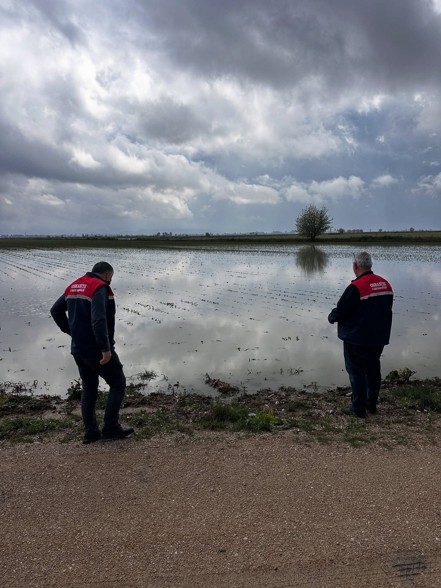 Kadirli’de Tarım Arazilerinde Zarar Tespiti (1)