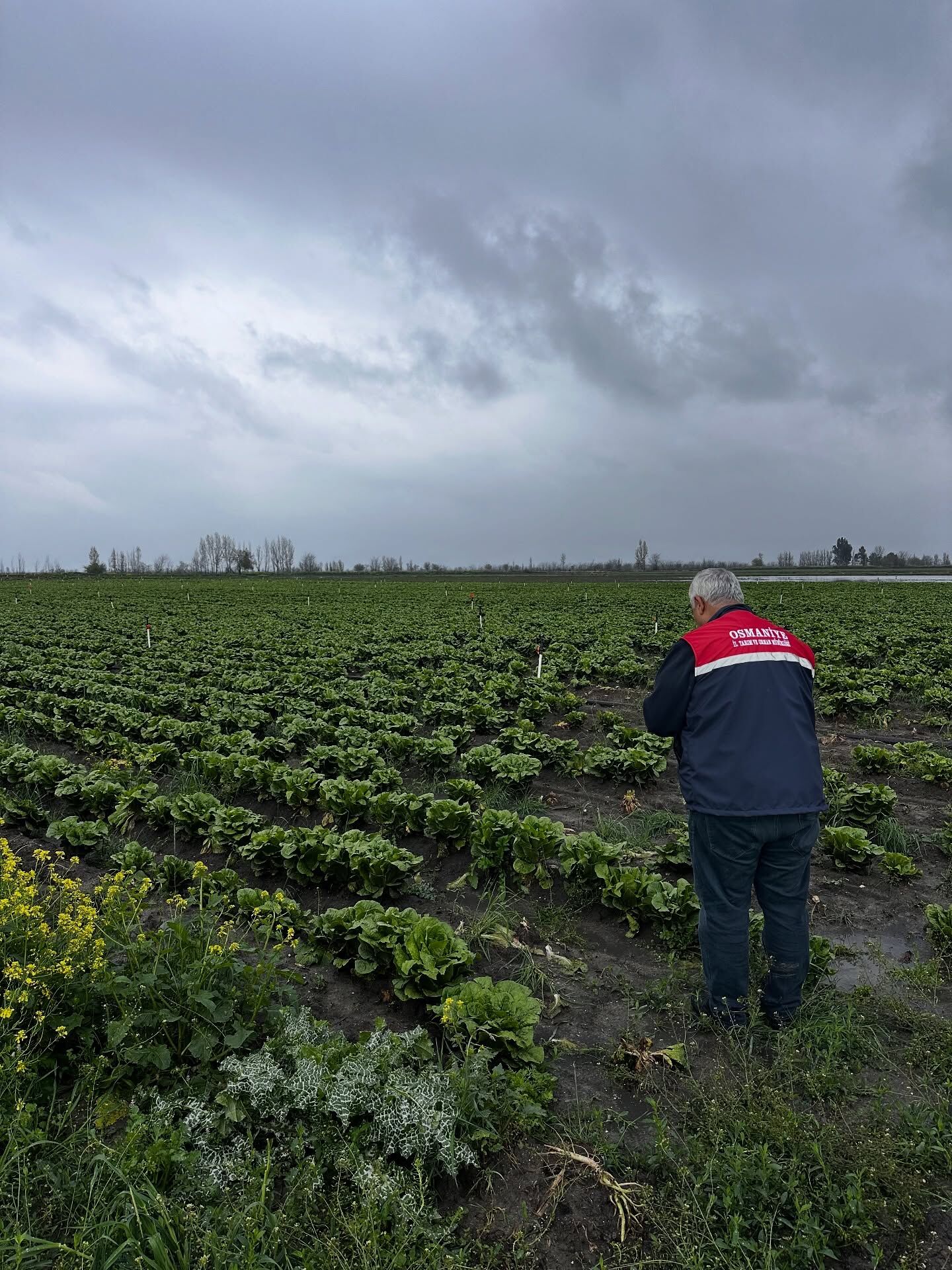 Kadirli’de Tarım Arazilerinde Zarar Tespiti (4)