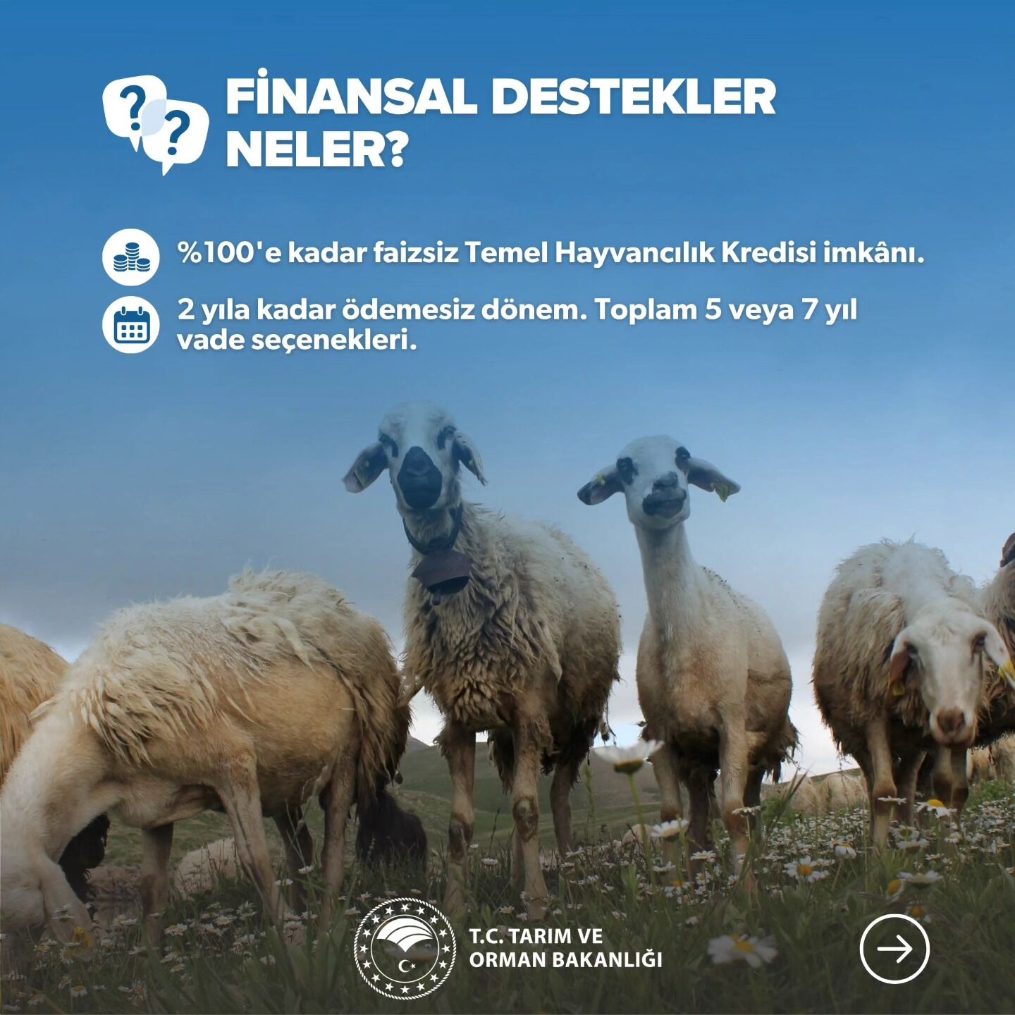 Osmaniye Il Tarım Ve Orman Müdürlüğü 1