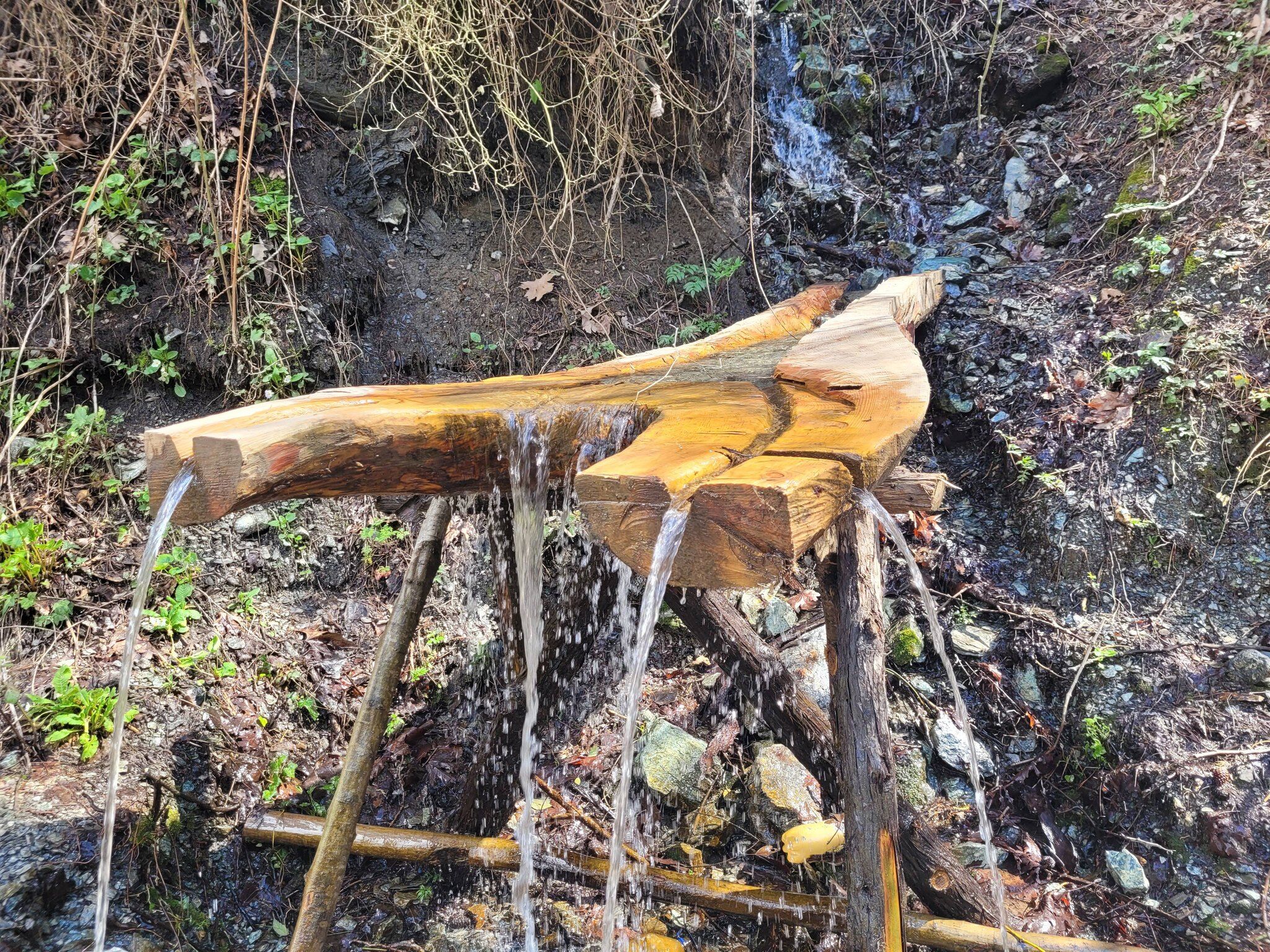 Osmaniye Yaylalarında Bahar Müjdesi (3)