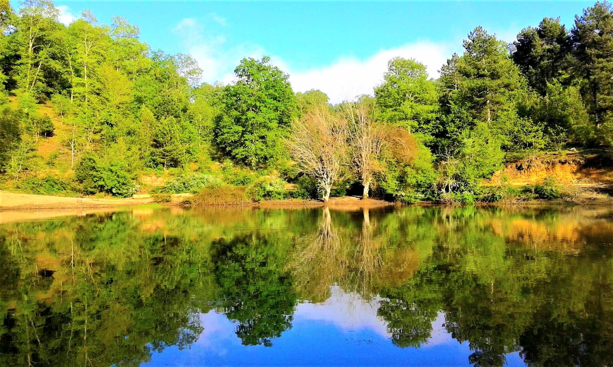 Osmaniye’de Bahar Coşkusu Dağlar Ve Yaylalar Yeşile Büründü (5)