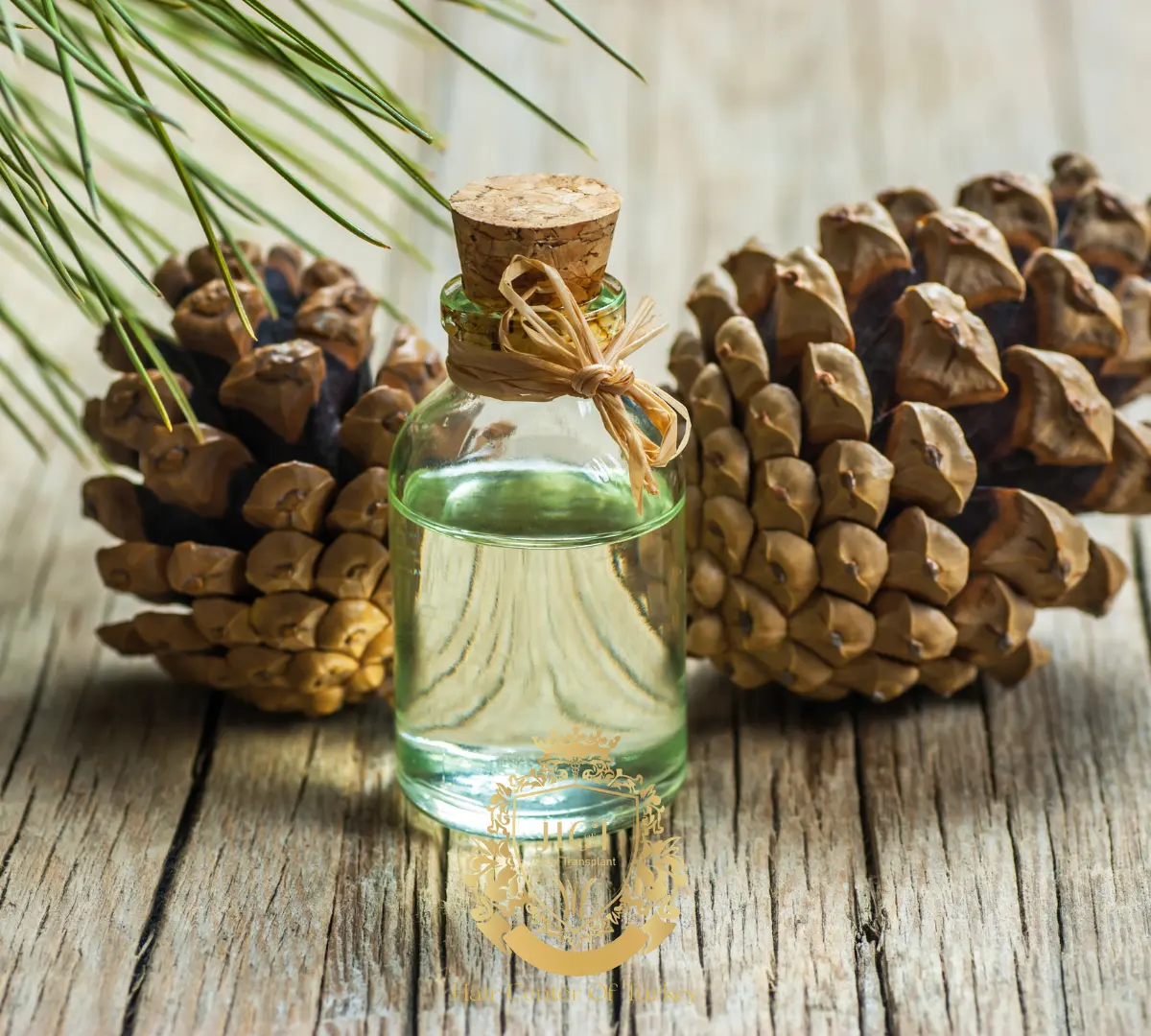 Osmaniye’de Çam Terebentin Yağı Kullanımına Dikkat (1)