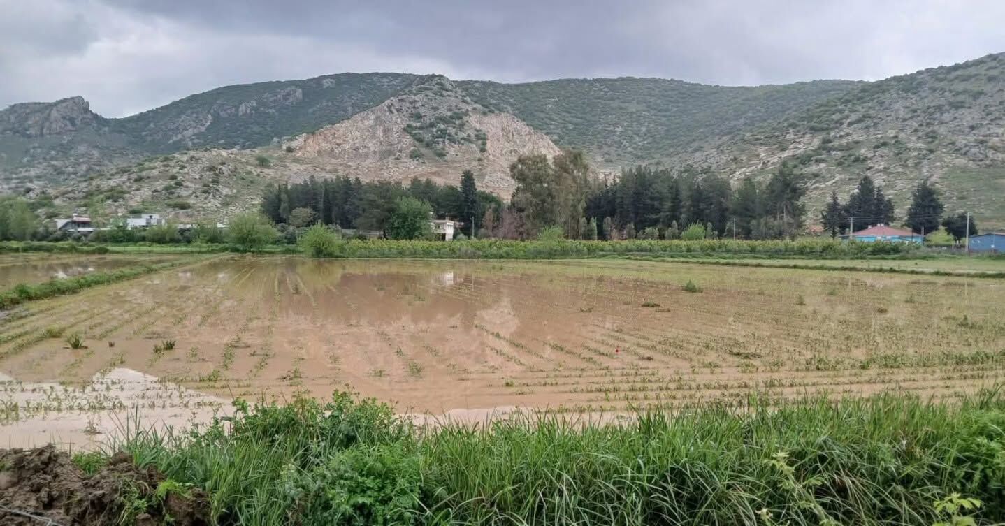 Osmaniye’de Hasar Tespiti Sürüyor (2)