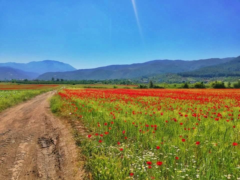 Osmaniye’de Kartpostallık Görüntüler (2)