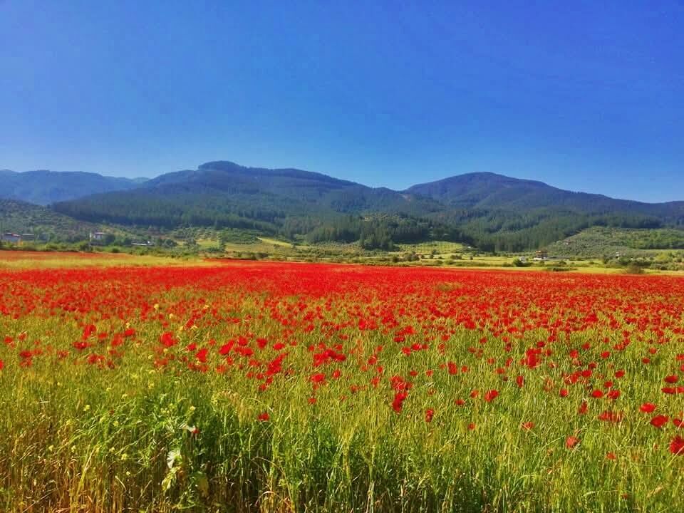 Osmaniye’de Kartpostallık Görüntüler (3)