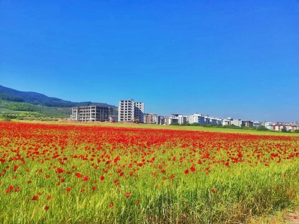 Osmaniye’de Kartpostallık Görüntüler (5)