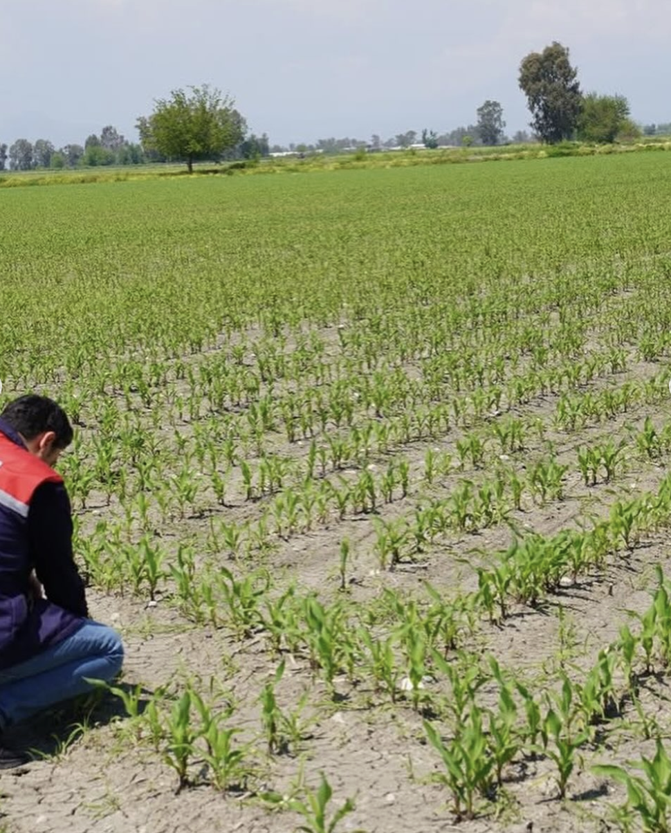 Osmaniye’de Su Basan Tarım Arazileri İncelendi2