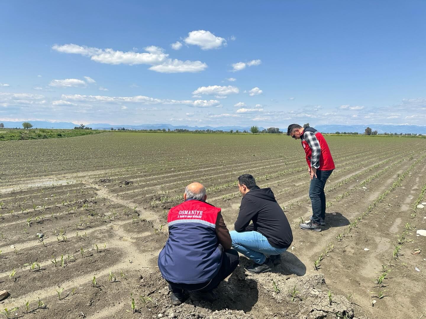 Osmaniye’de Tarlalar Tek Tek Inceleniyor (4)