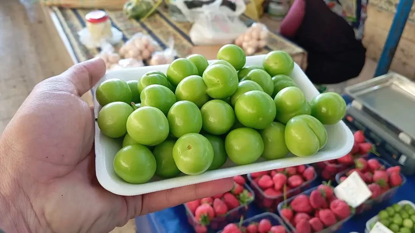 Silifke’de Erik Bereketi Fiyatları Rekor Kırıyor (1)