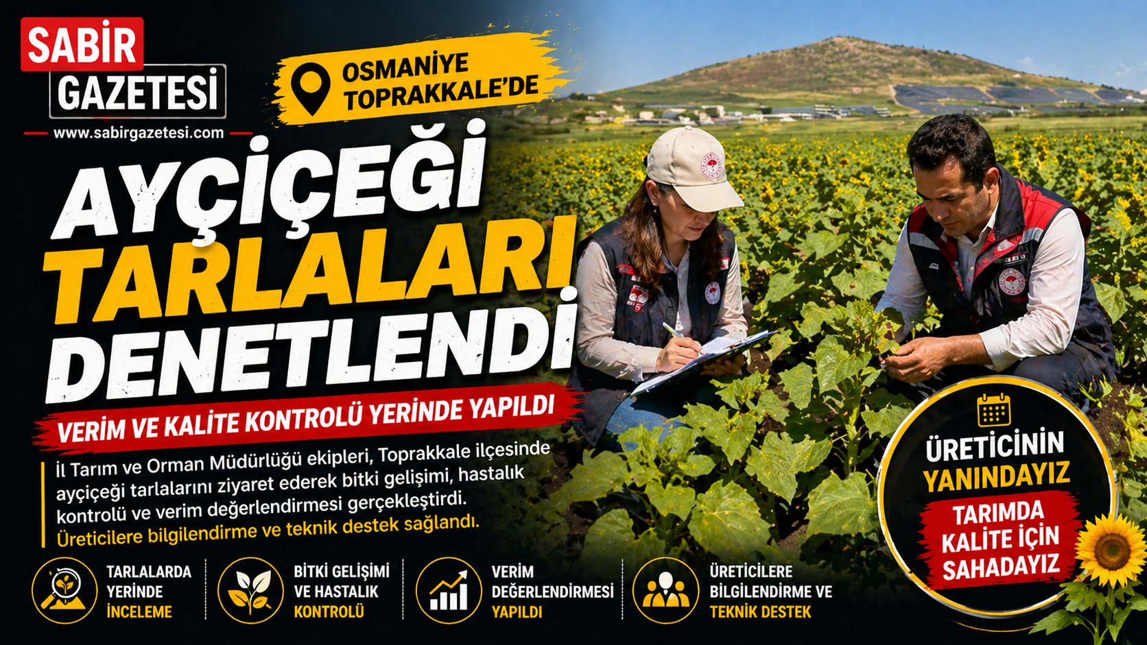 Osmaniye Toprakkale’de Ayçiçeği Tarlaları Denetlendi