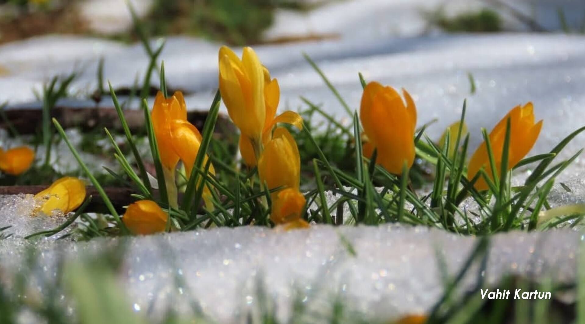 Toros Dağları Baharı Büyülüyor (2)