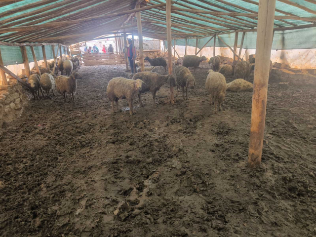 Ureticinin Tum Birikimi Bir Ge 19766898 2180 1 M