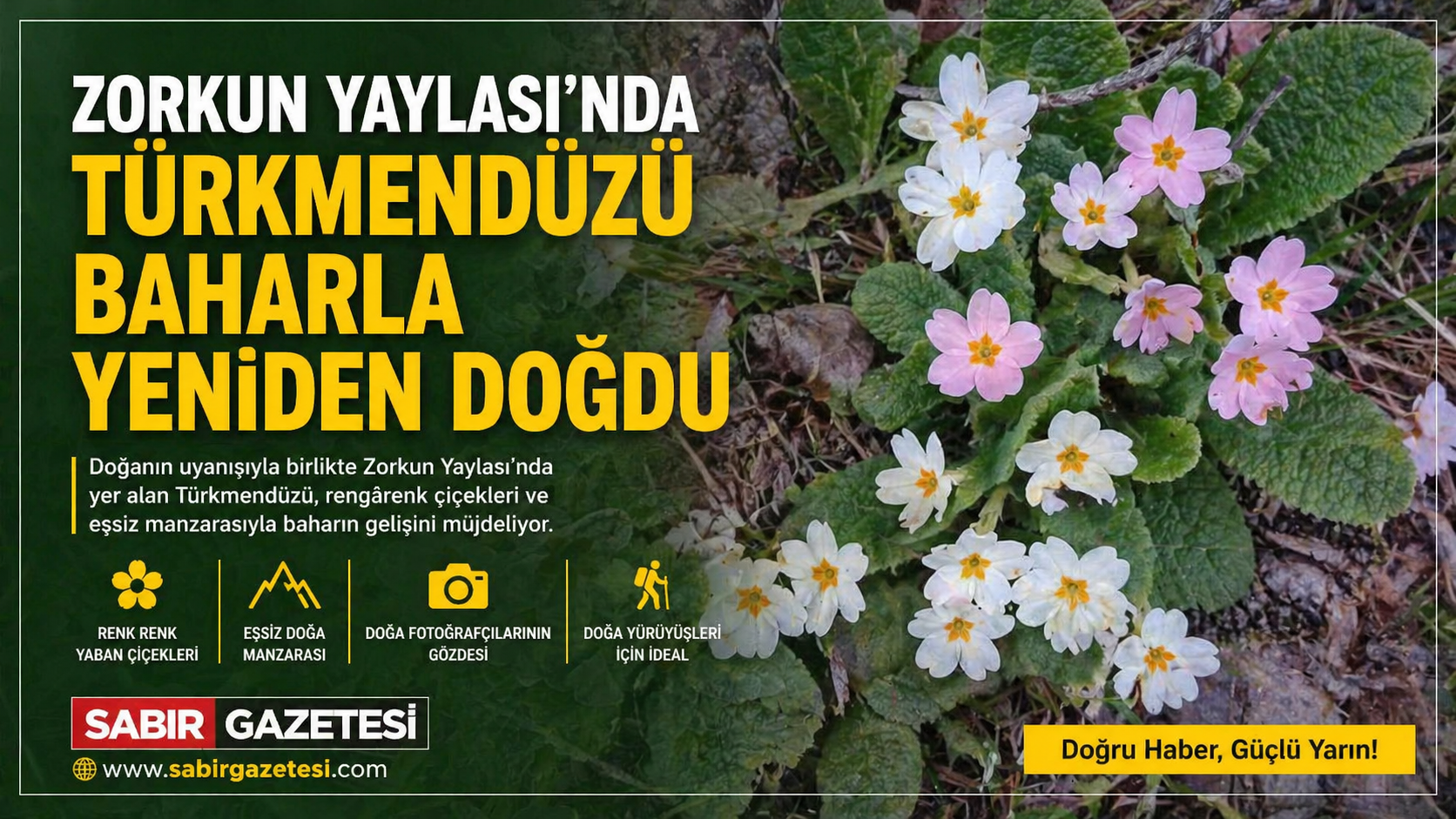 Zorkun Yaylası’nda Türkmendüzü Baharla Yeniden Doğdu