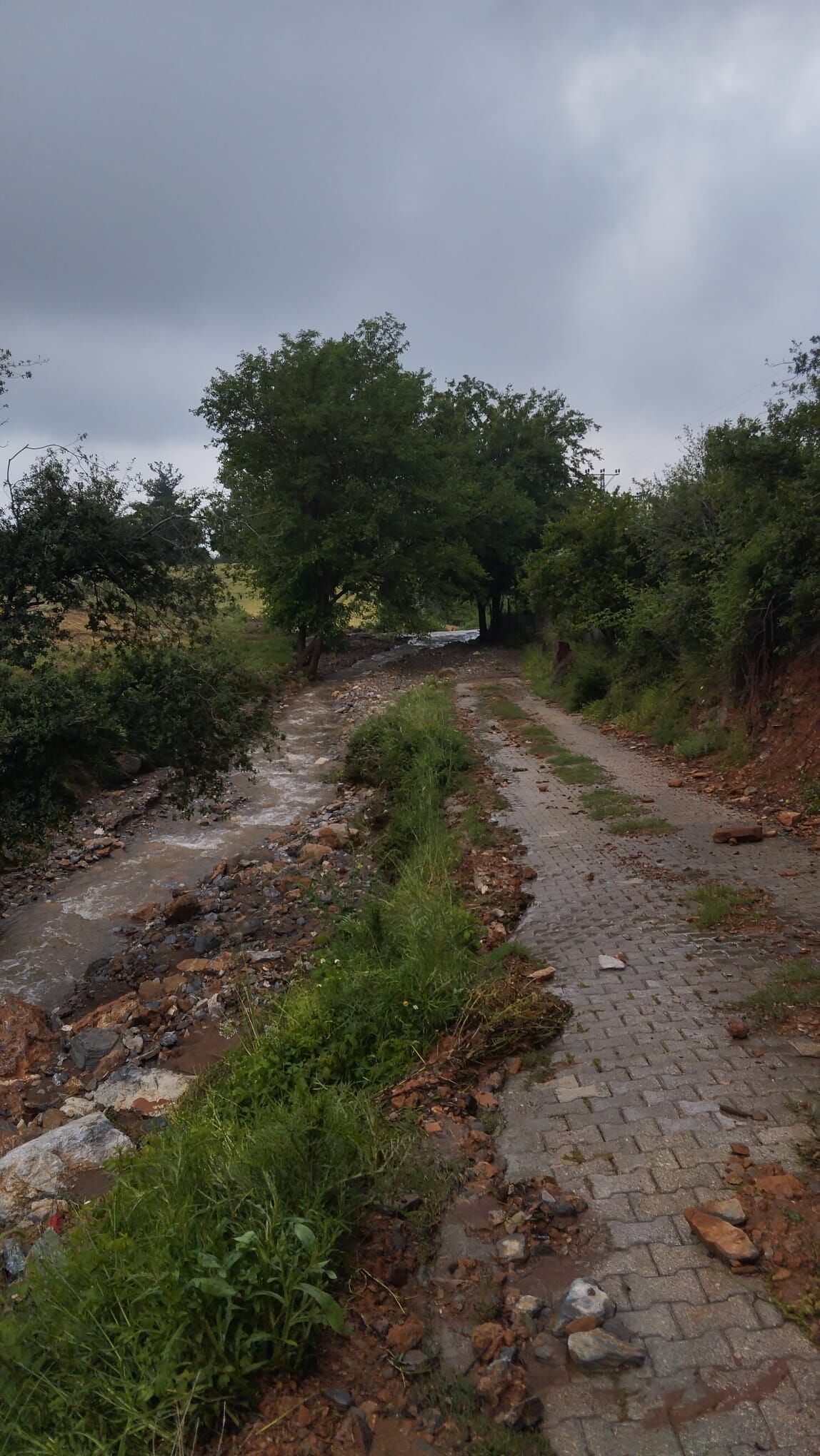 Düziçi’nde Selin İzleri Köy Yolları Kullanılamaz Hale Geldi (1)