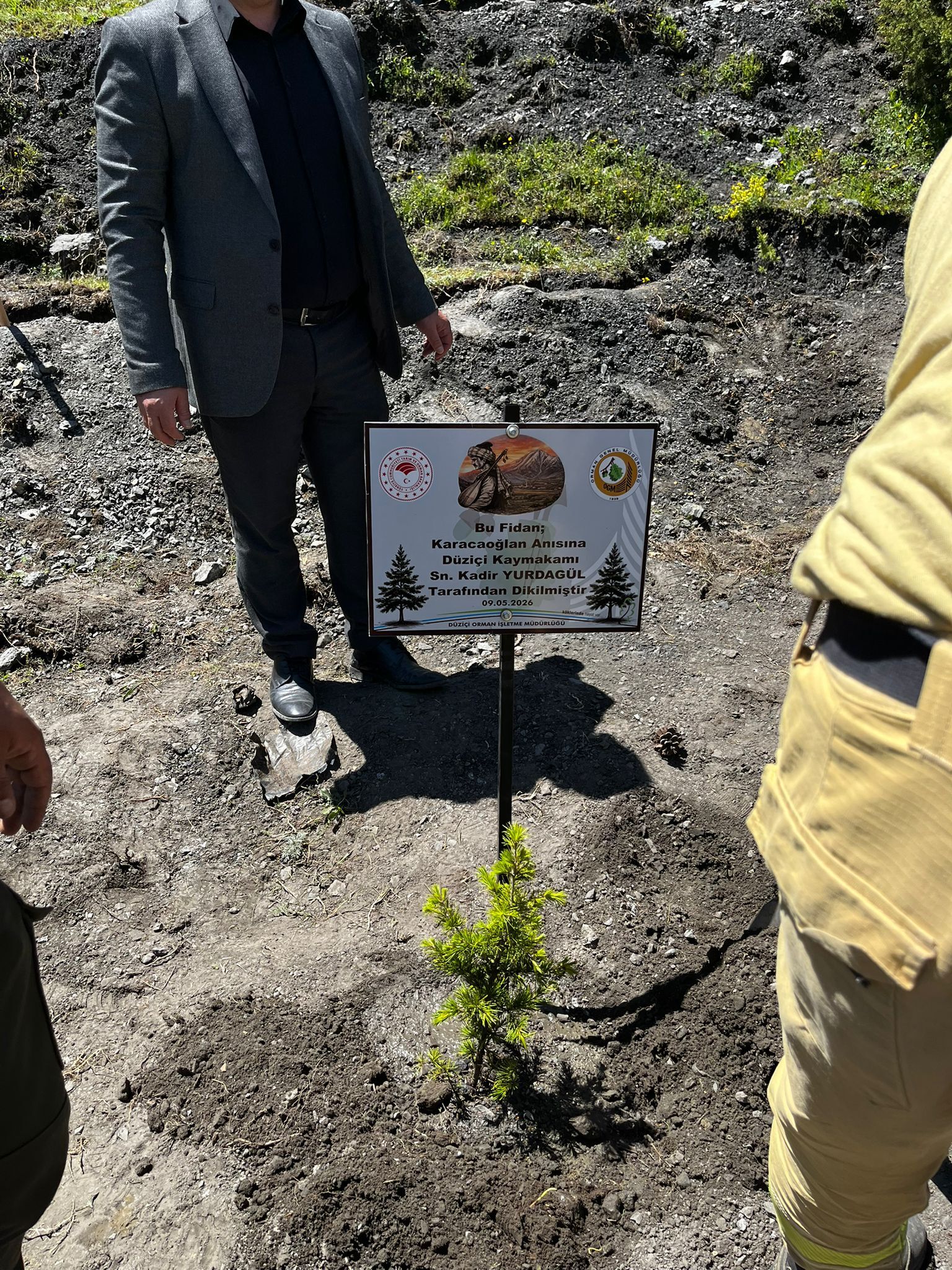 Kaymakam Yurdagül Fidan Dikti2