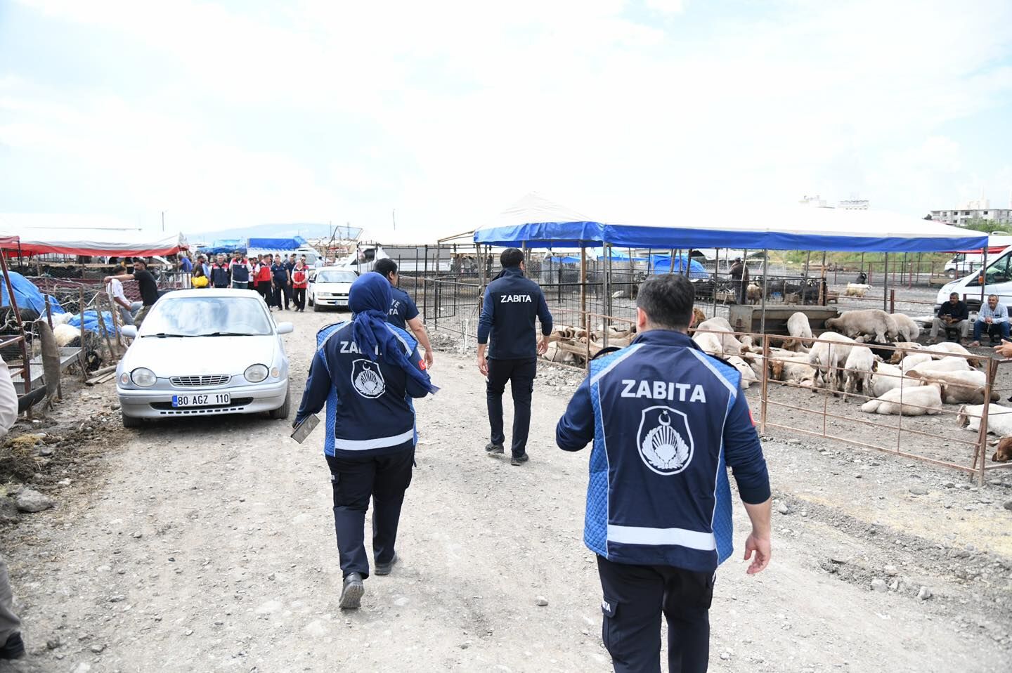Osmaniye Kurban Denetim Pazar