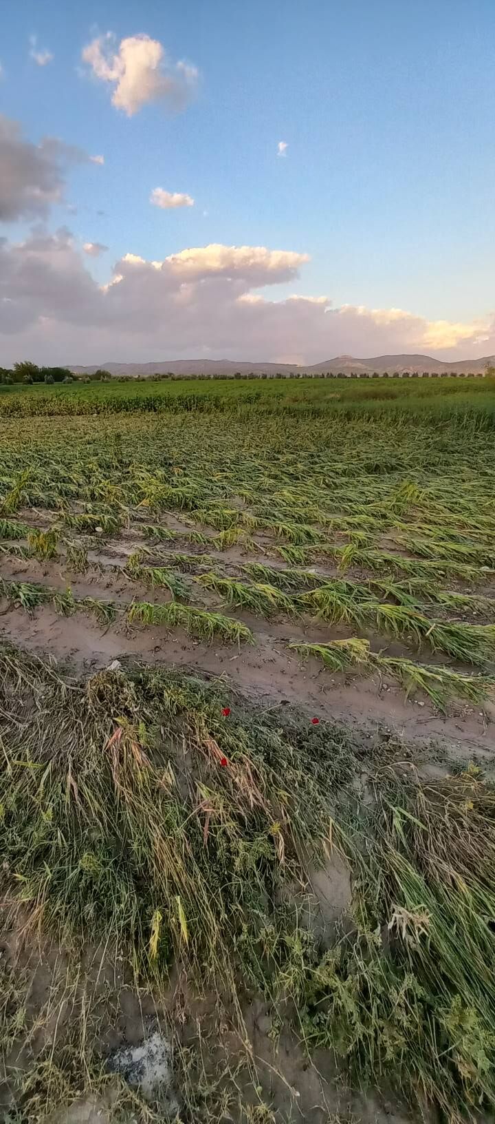 Osmaniye Tarım Mahsul Chp Açıklama1
