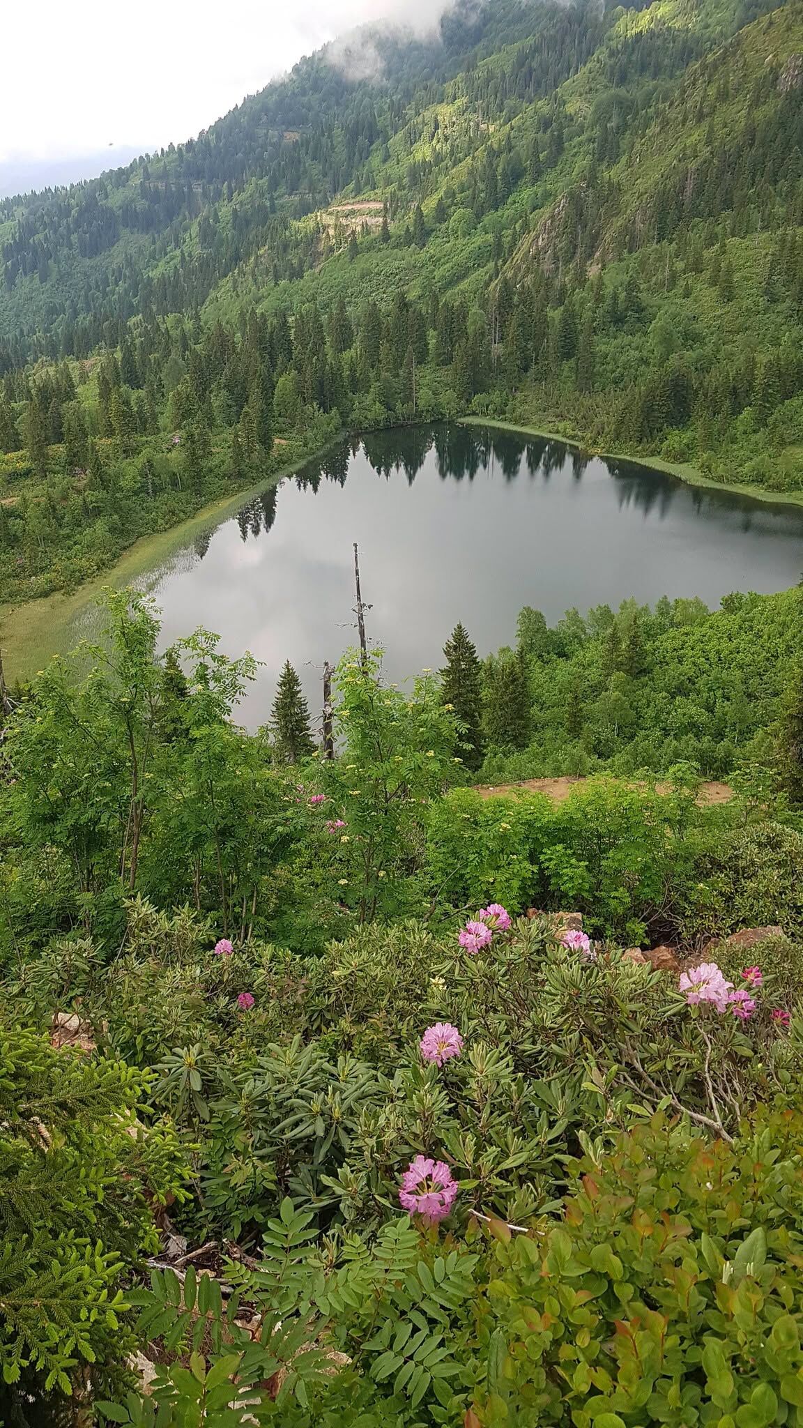 Artvin Murgul Karagöl Ve Tiryal Dağı Doğayı Büyülüyor2