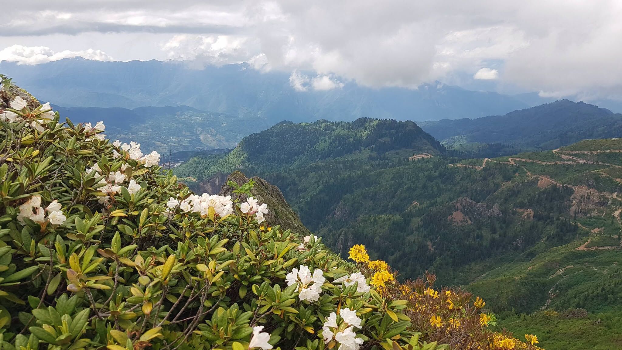 Artvin Murgul Karagöl Ve Tiryal Dağı Doğayı Büyülüyor4