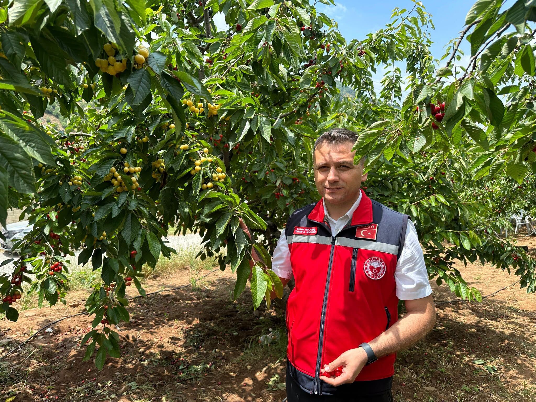 Bahçe’de Kiraz Hasadı Coşkusu Üreticilerle Gerçekleşti2