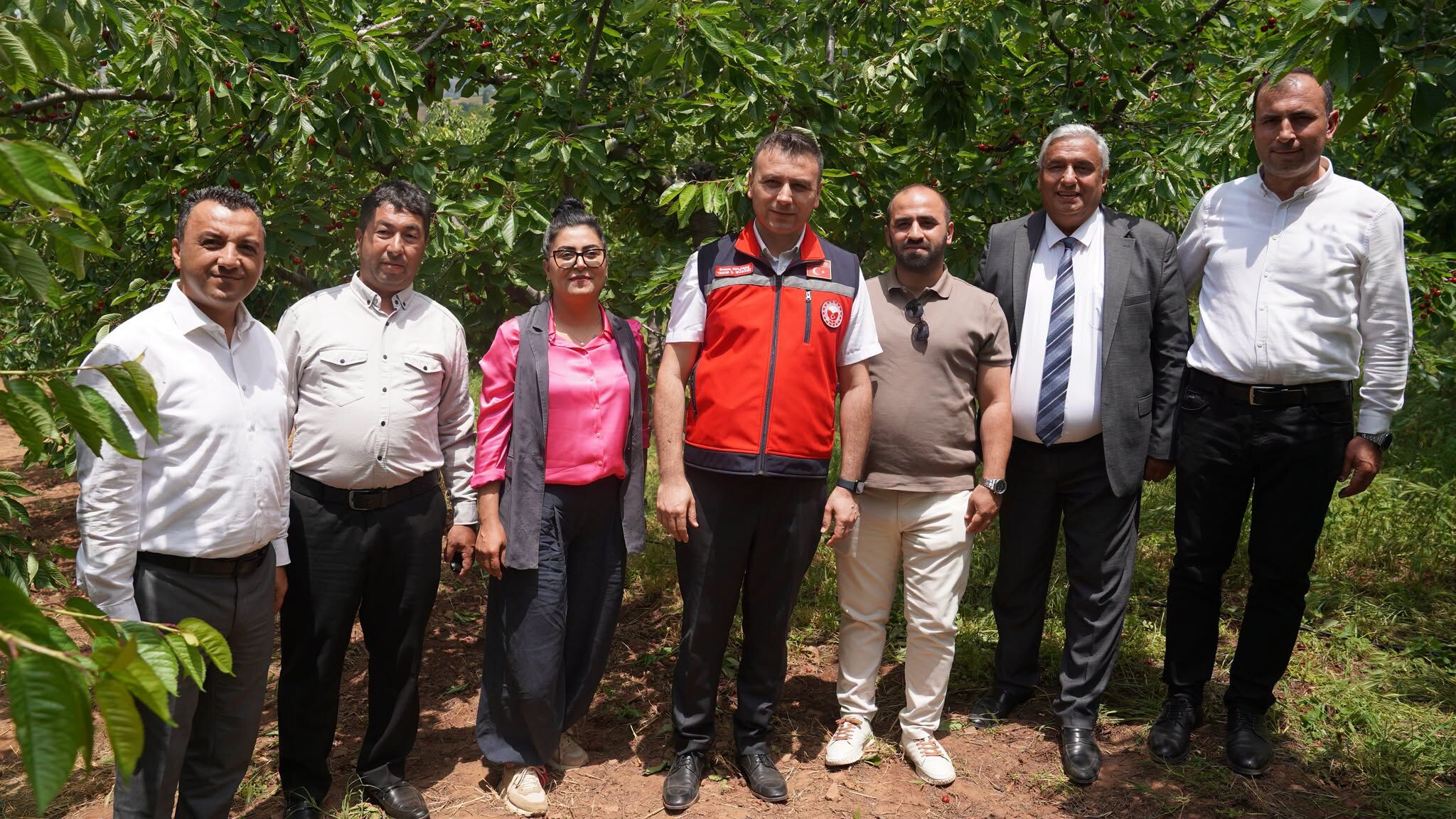 Bahçe’de Kiraz Hasadı Coşkusu Üreticilerle Gerçekleşti4
