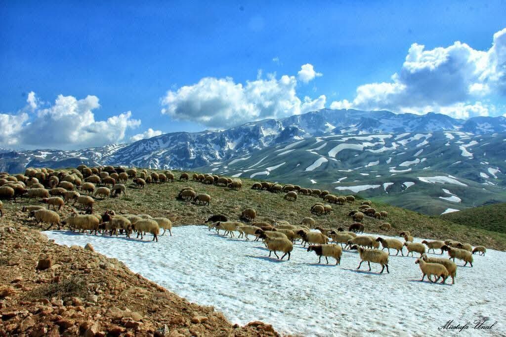 Eğri Göl 2