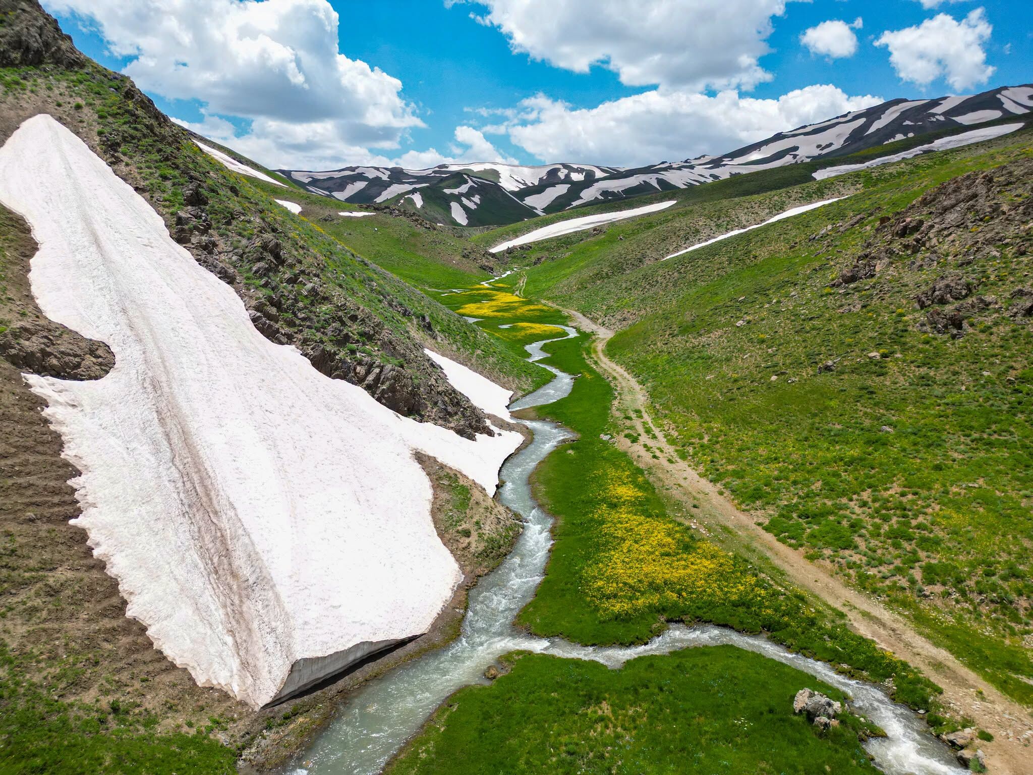Gürpınar Yaylaları Kar Suları Ve Çiçeklerle Renklendi (2)
