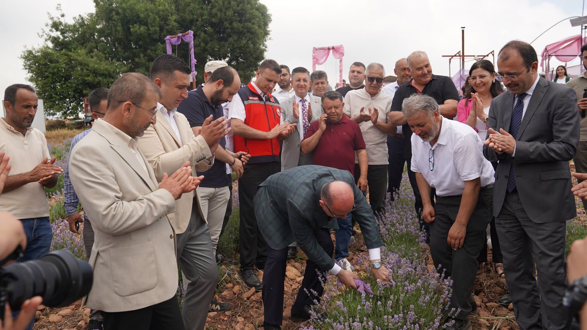 Kadirli Bekereci’de Lavanta Ve Zeytin Festivali Yapıldı4