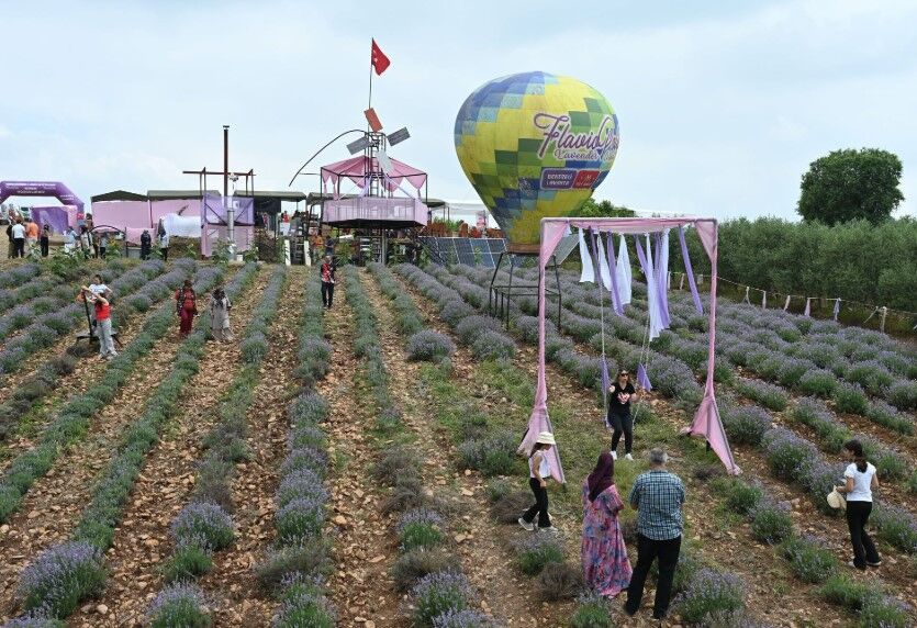 Kadirli Lavanta Festival 3