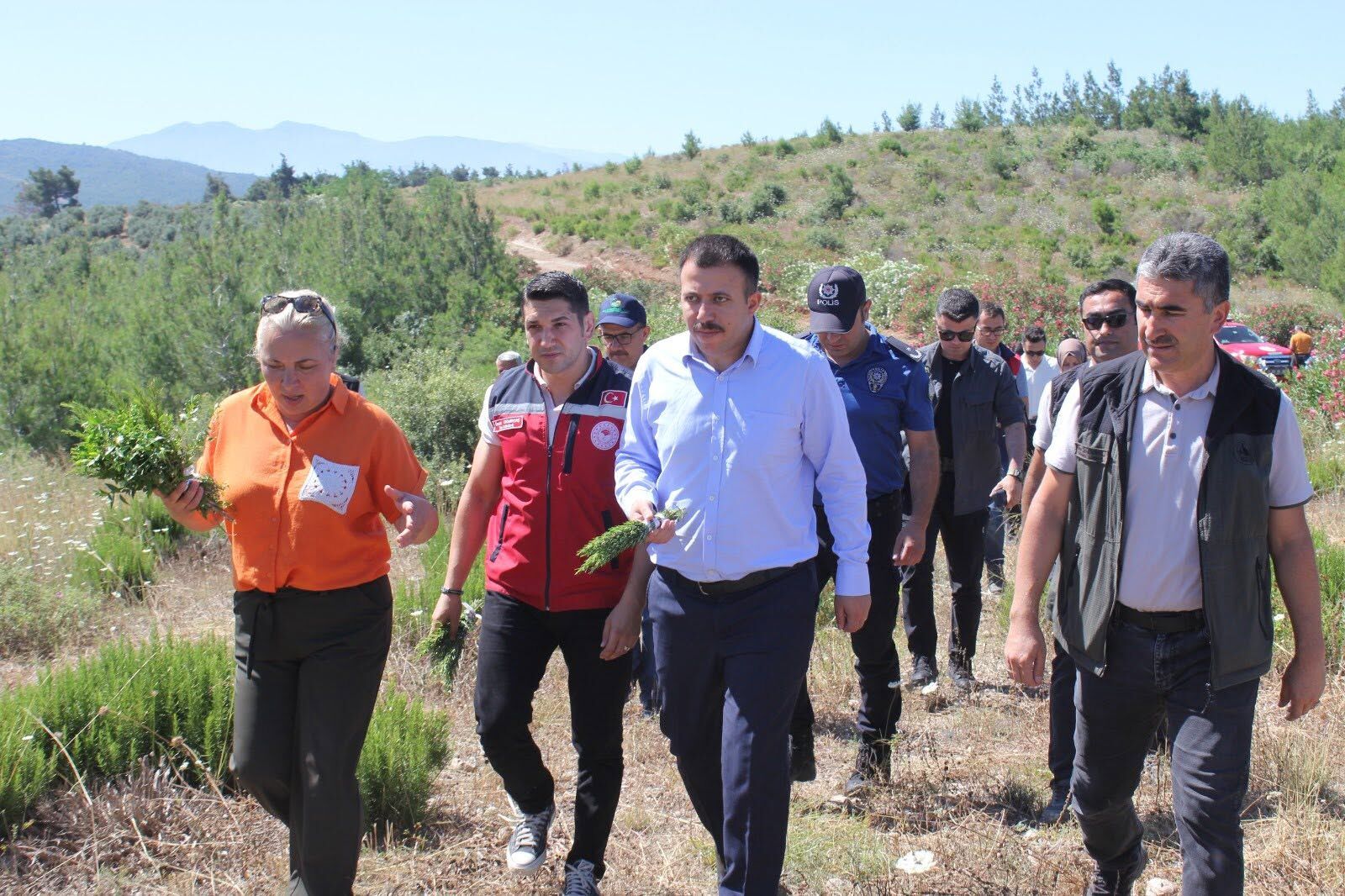 Osmaniye Düziçi’nde Biberiye Hasadı Gerçekleştirildi3