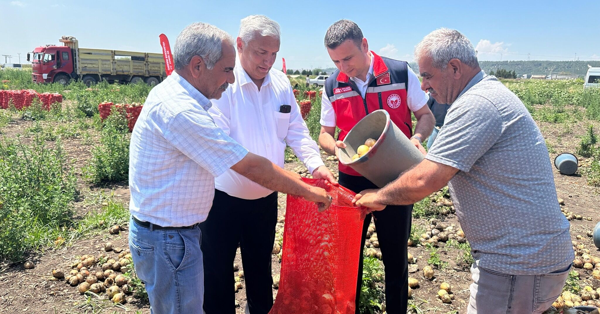 Osmaniye'de Soğan Hasadı Başladı (2)