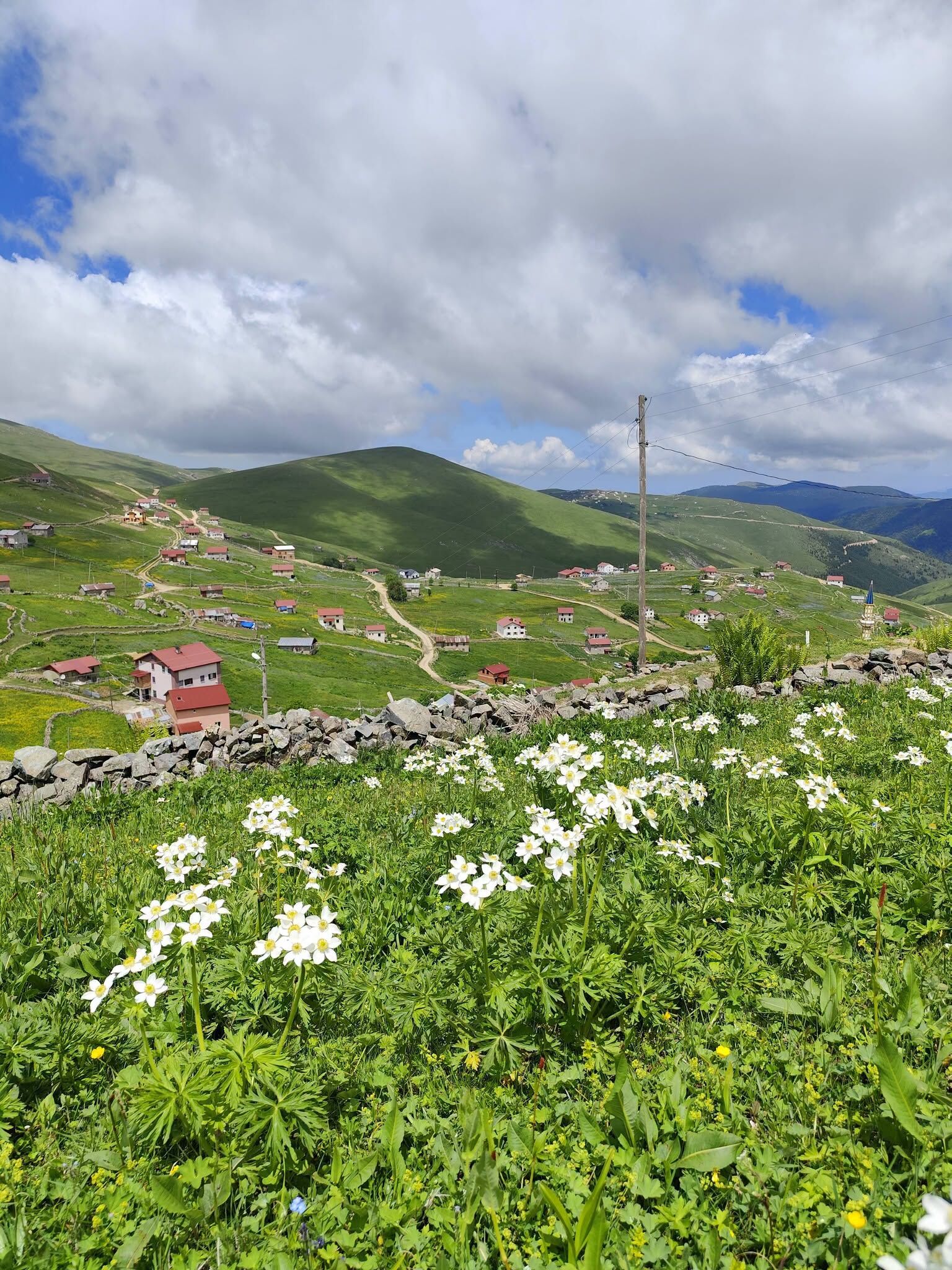 Trabzon Köprübaşı Köşk Yaylası’nda Hava Değişimi Yaşandı3