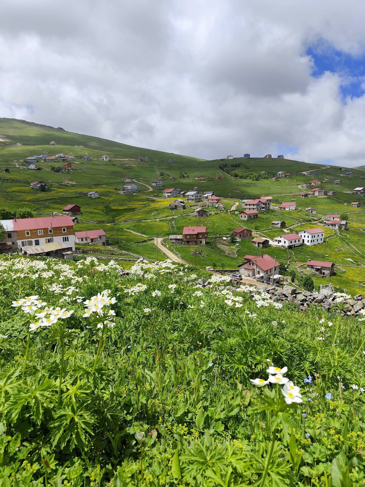 Trabzon Köprübaşı Köşk Yaylası’nda Hava Değişimi Yaşandı4