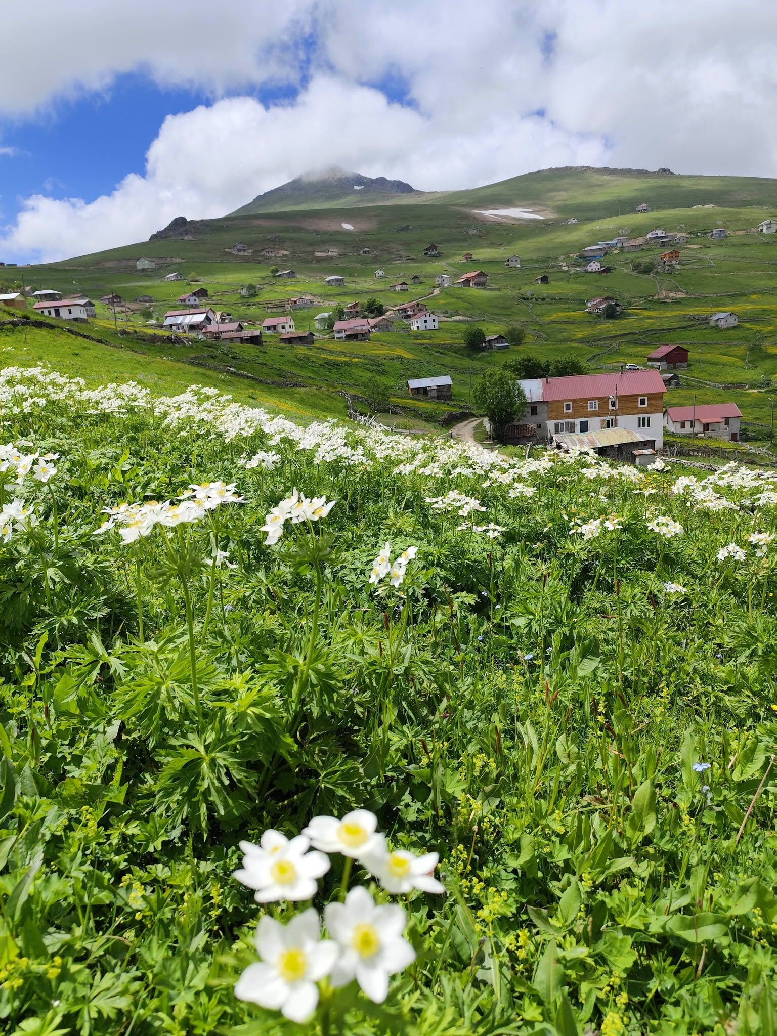 Trabzon Köprübaşı Köşk Yaylası’nda Hava Değişimi Yaşandı5