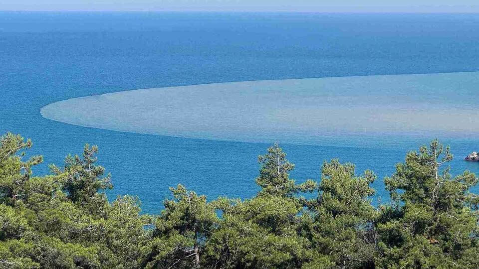 Bartın