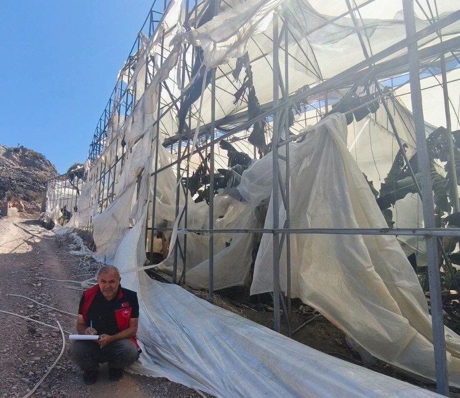 Alanya'da Yangından Etkilenen Tarım Alanlarında Hasar Tespiti2