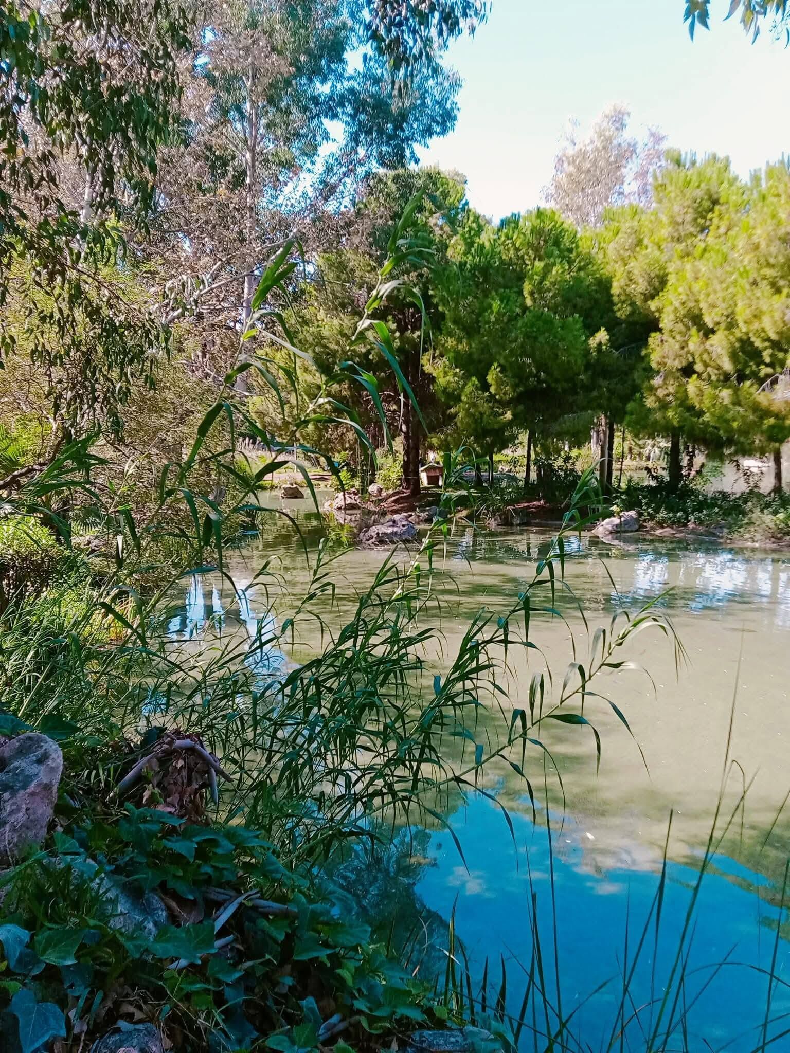 Antalya Atatürk Kültür Parkı Yoğun İlgi Görüyor4