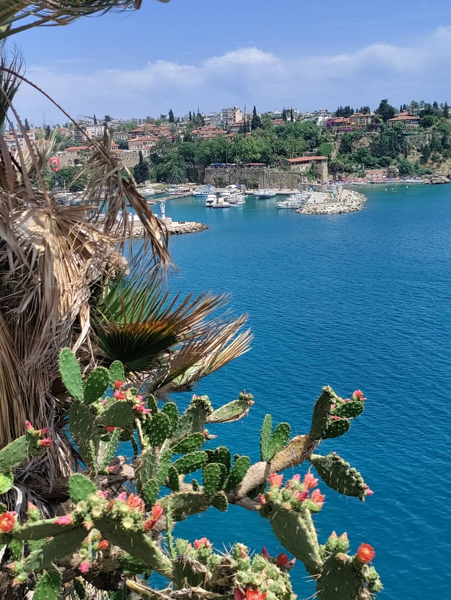Doğa
