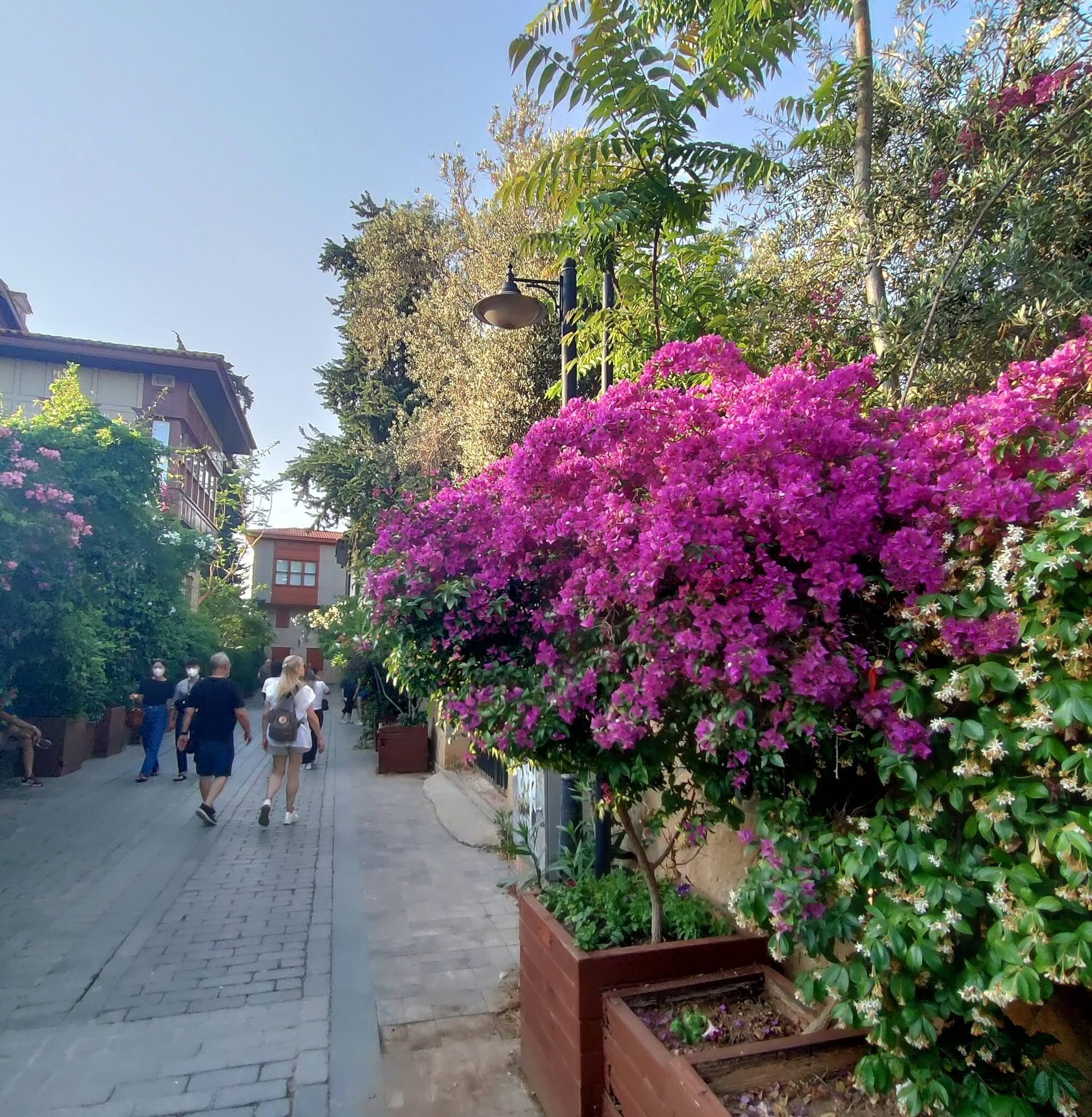 Antalya Kaleiçi Yat Limanı Yazın Turist Akınına Uğruyor2