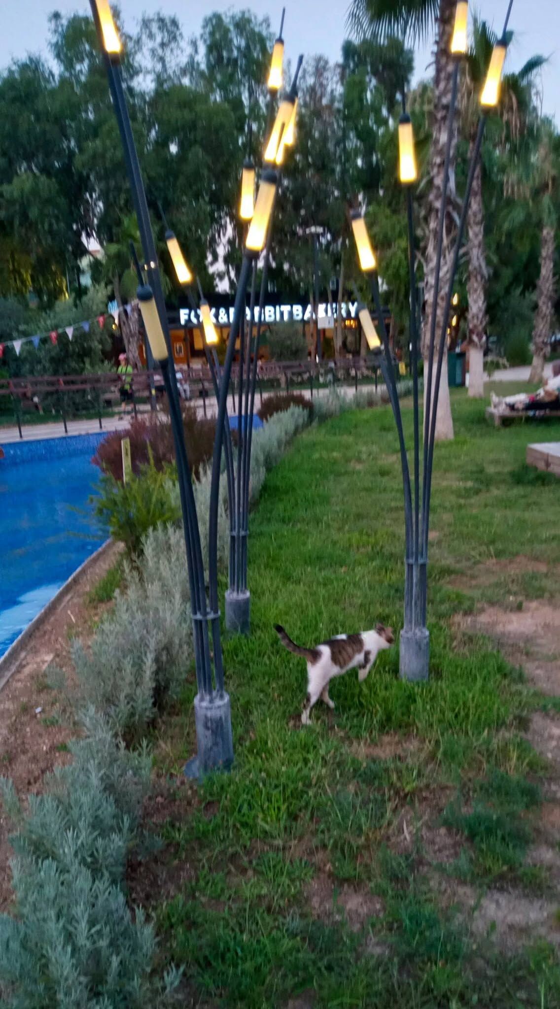 Antalya Millet Bahçesi Vatandaşların Gözdesi Oldu5